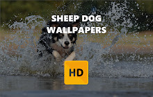 Sheep Dog Wallpaper HD New Tab Theme small promo image