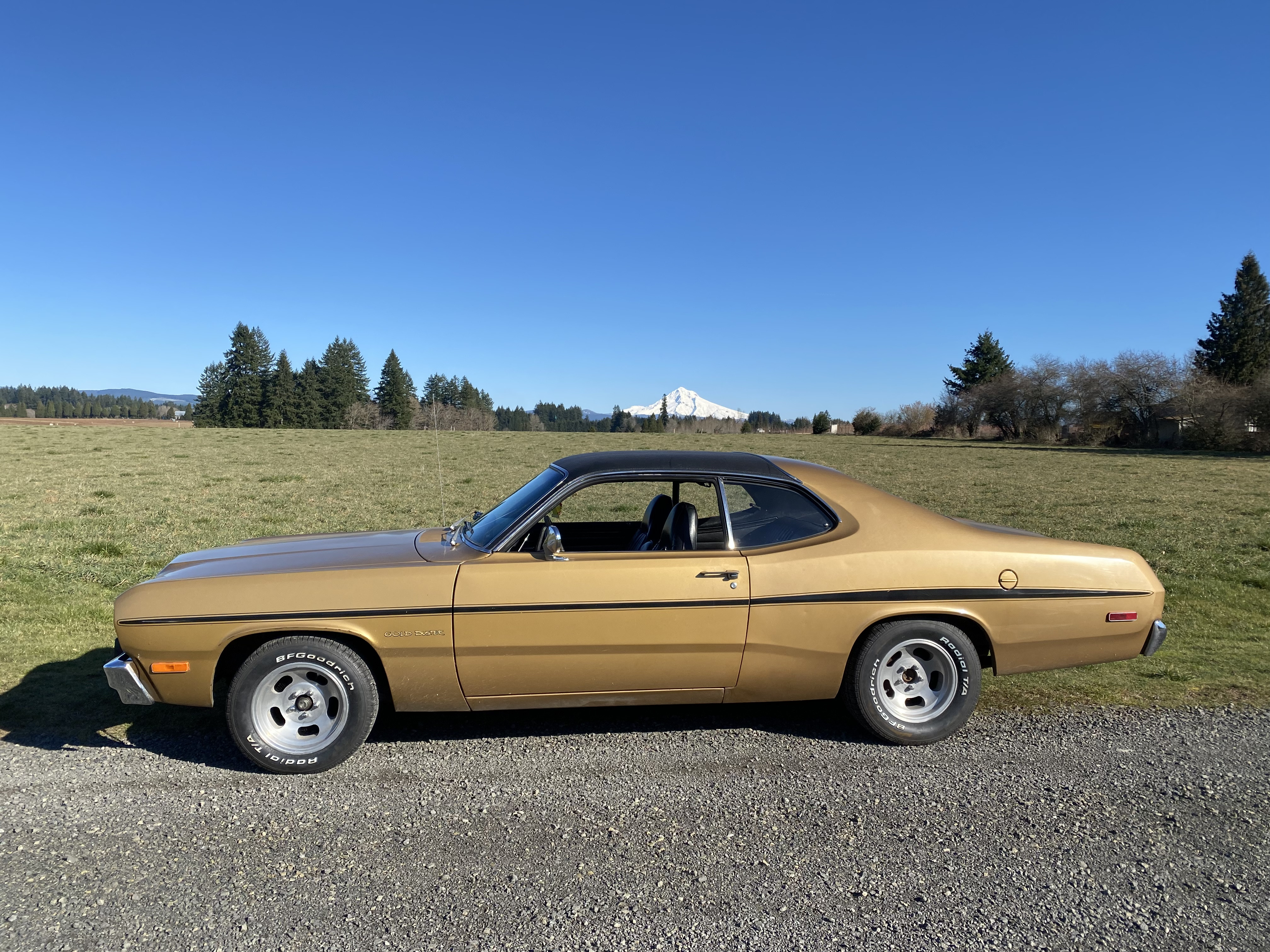 Plymouth  Gold Duster Hire Sandy