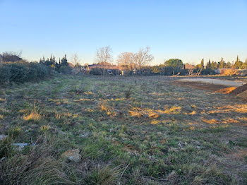 terrain à Saint-André-de-Roquelongue (11)