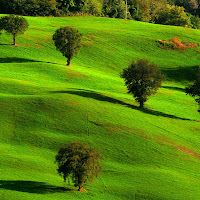 Colline di 