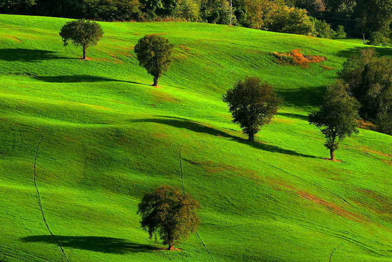 Colline di Croatti Carlo