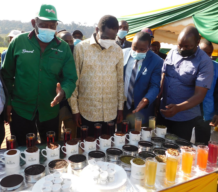 EALA MP Mpuru Aburi, Agriculture CS Peter Munya and Kiguchwa MCA Linus Athinya sample tea variety display at Michimikuru Tea Factory.