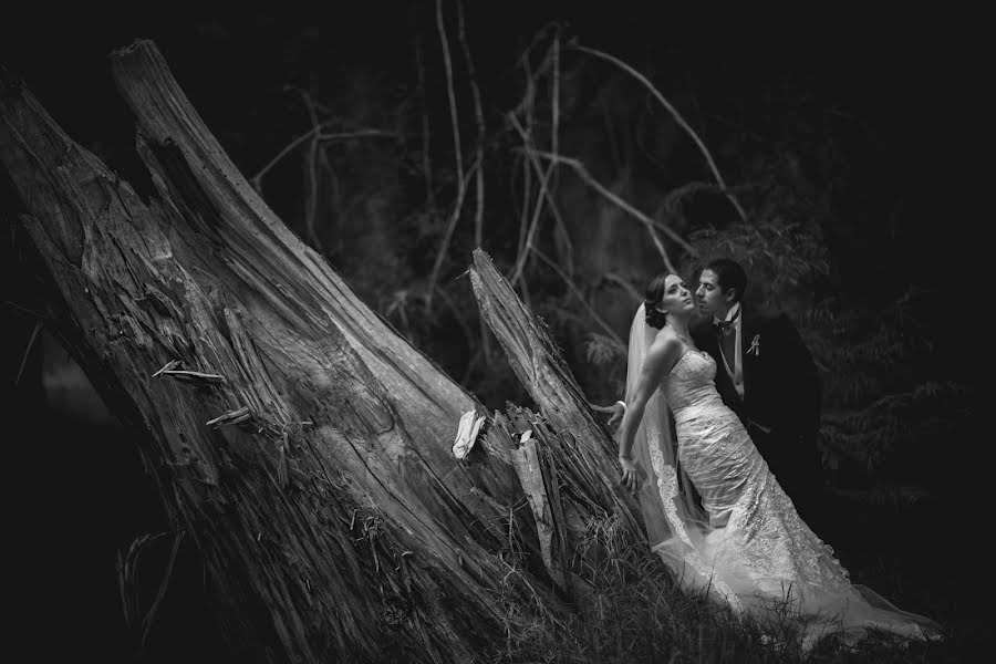 Fotografo di matrimoni Odin Castillo (odincastillo). Foto del 15 giugno 2015