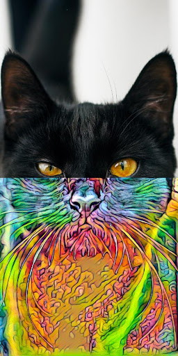 AI Photo Filters and Effects with Deep Art