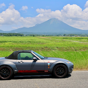ロードスター NCEC