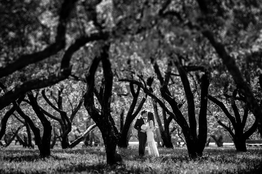 Fotógrafo de casamento Aleksandr Vasilev (avasilev). Foto de 13 de junho 2015