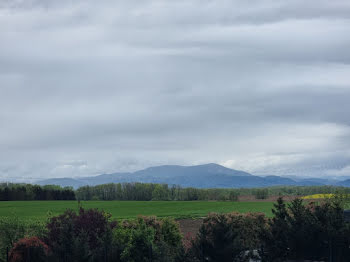 terrain à Galfingue (68)