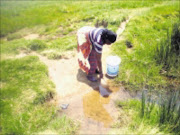 LIVING DANGEROUSLY: A woman draws contaminated water from a river that residents are forced to share with animals following the suspension of a bulk supply project. 16/12/08. Pic. Johannes Selepe. © UNknown.