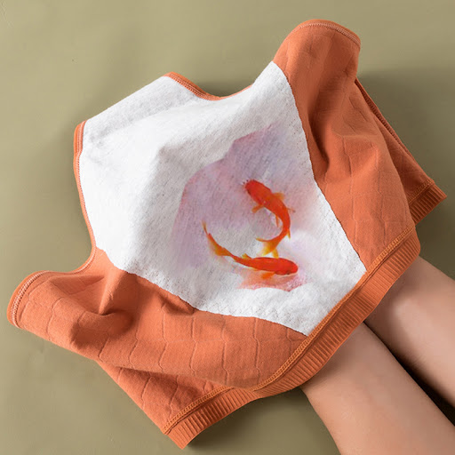 Title 10, Womens Breathable Cotton Briefs with Side Leak...