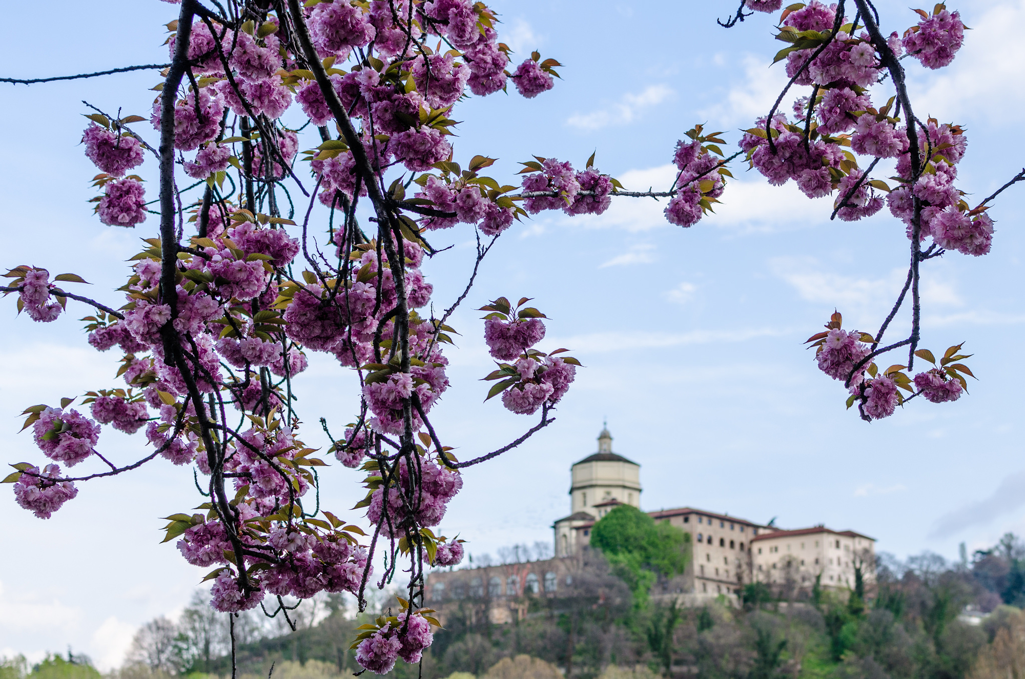 Spring over the hill di bambo_85