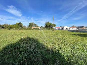 terrain à Notre-Dame-de-Riez (85)