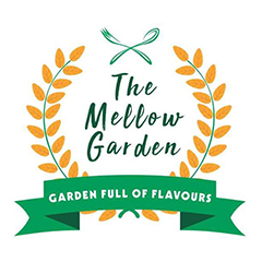 The Mellow Garden, South City 2, South City 2 logo