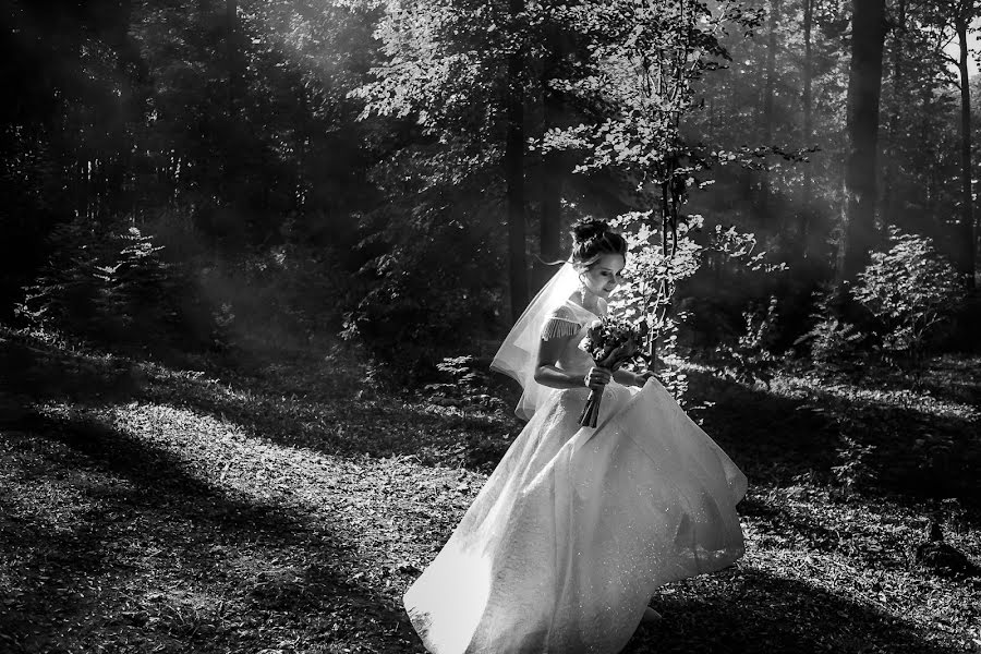 Photographe de mariage Ekaterina Tolstyakova (katrin694). Photo du 12 septembre 2019