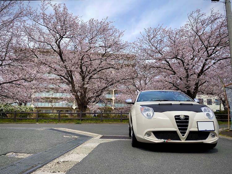 MiToのDAI-KOOさんたらこ🇮🇹さんありがとう・花を愛でるお年頃・桜とコラボ🌸・ご近所さん・拾い画像ですみませんに関するカスタム事例の投稿画像1枚目