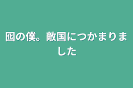 囮の僕。敵国に捕まりました