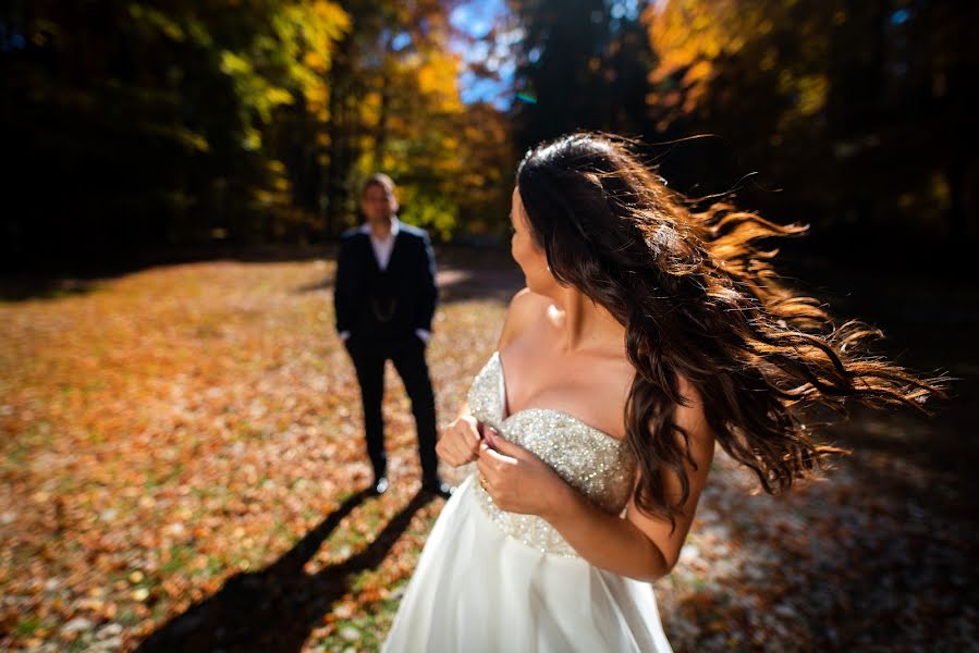 Photographe de mariage Marius Stoian (stoian). Photo du 15 octobre 2018