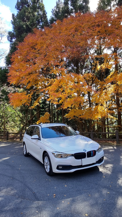 320d F31 ツーリングのyamaさんが投稿したカスタム事例の投稿画像2枚目