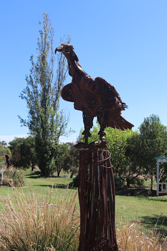 Wedge Tailed Eagle