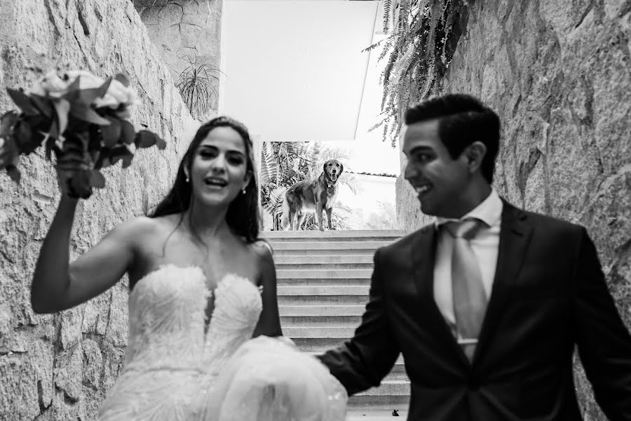 Fotógrafo de bodas Paloma Lopez (palomalopez91). Foto del 4 de diciembre 2021