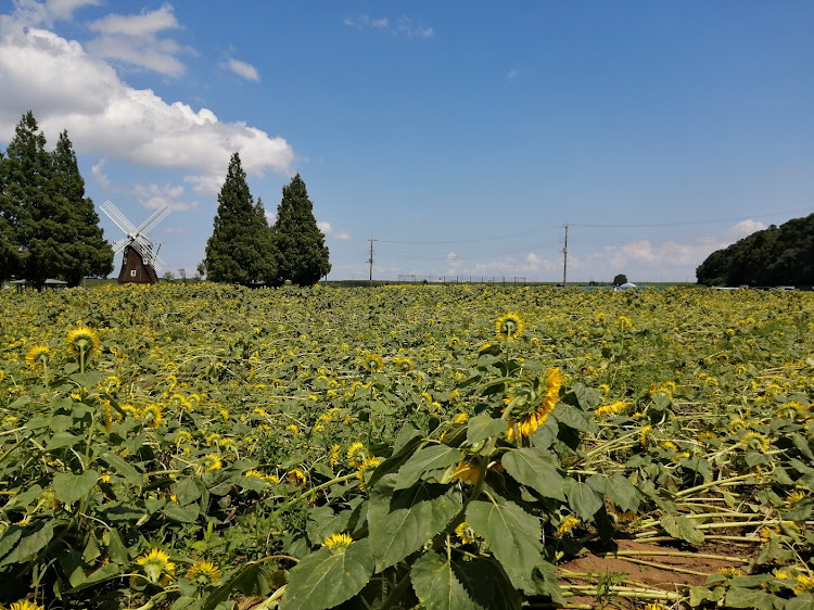 3シリーズ セダンのhiratanさんが投稿したカスタム事例の投稿画像3枚目