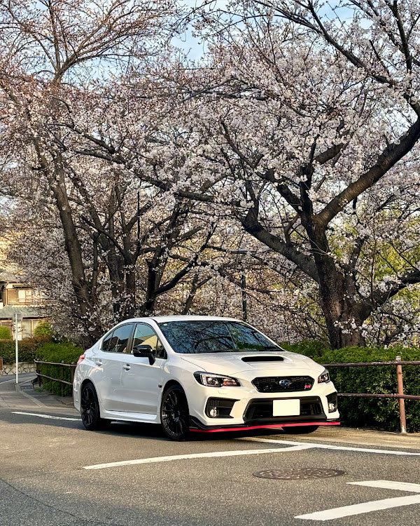 WRX S4の写真が好きな人と繋がりたい・車好きと繋がりたい・サクラと愛車・イラスト作成・4月もよろしくお願い致します🌸に関するカスタム事例の投稿画像2枚目