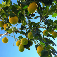 I Limoni di 