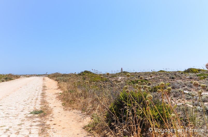 Sagres, forteresse - 