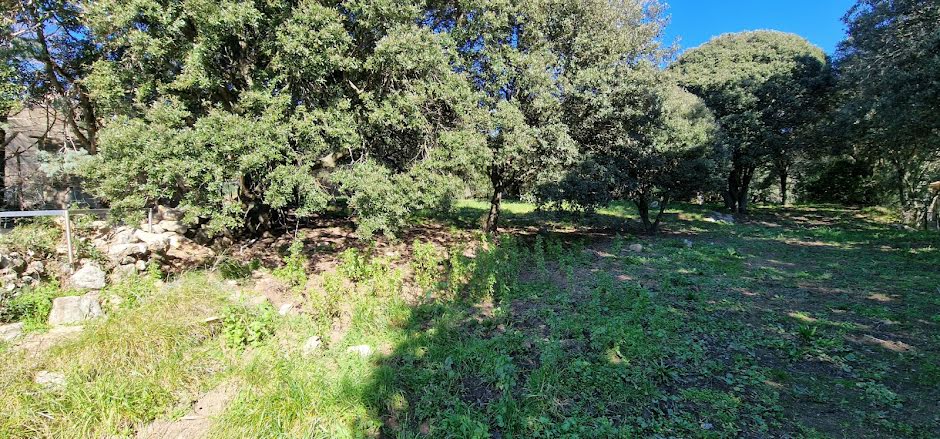 Vente terrain  2500 m² à Giuncheto (20100), 165 000 €