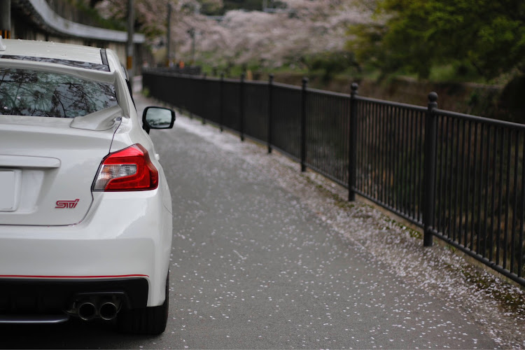 WRX STIの一眼・桜と愛車・50mmF1.8単焦点レンズに関するカスタム事例の投稿画像16枚目