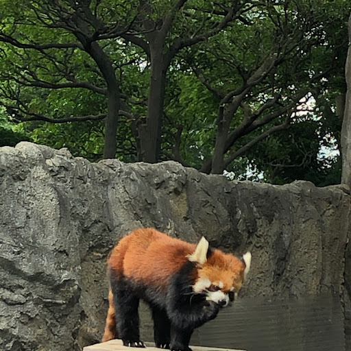 ミサのプロフィール画像