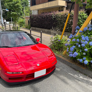 NSX