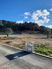 terrain à Saint-Bauzille-de-Montmel (34)