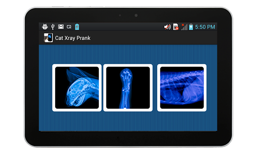 Cat Xray Prank