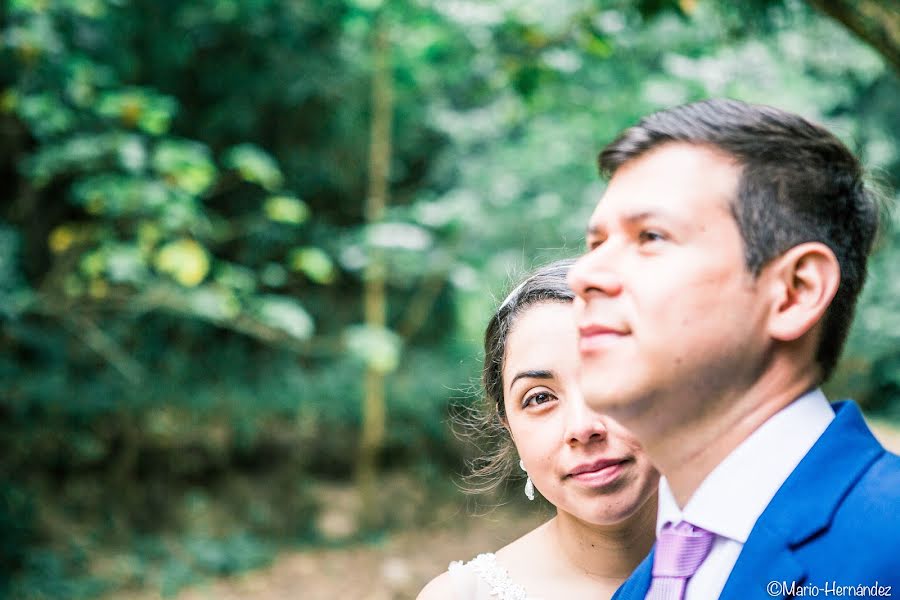 Fotógrafo de casamento Mario Hernández (mariohernandez). Foto de 22 de novembro 2017