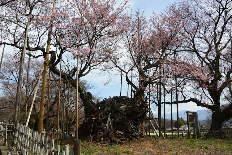 の投稿画像6枚目