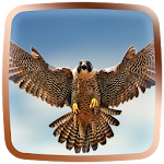 Falcon Live Wallpaper Apk