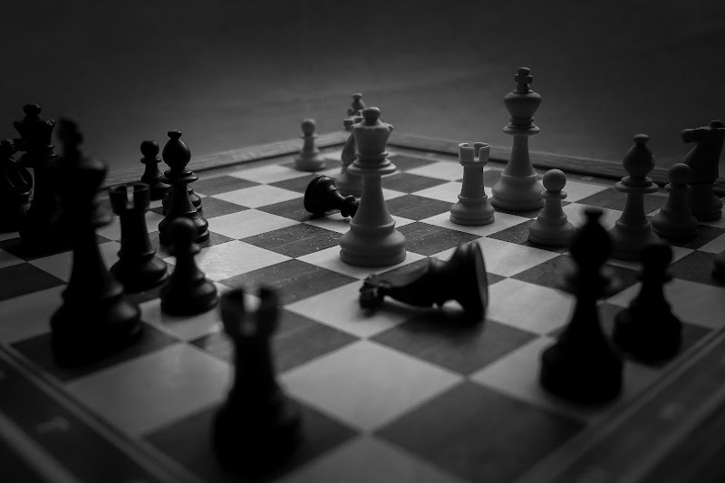 La Regina degli scacchi di MANUELA_PUTRINO
