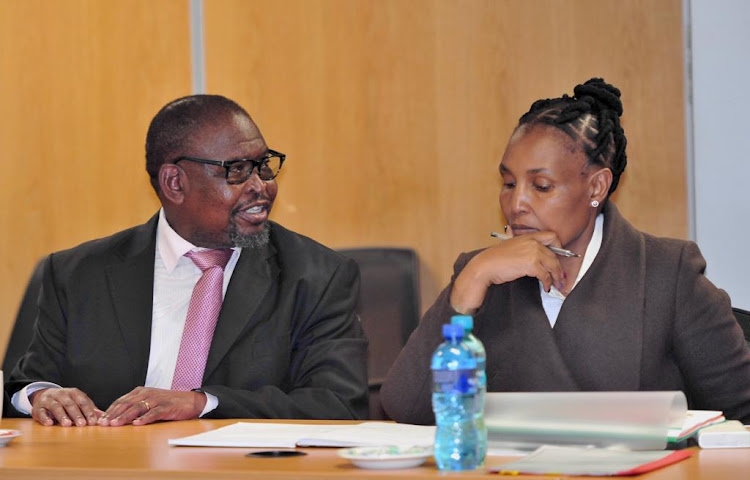 Finance minister Enoch Godongwana and co-operative governance and traditional affairs minister Thembi Nkadimeng.