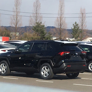 RAV4 MXAA52