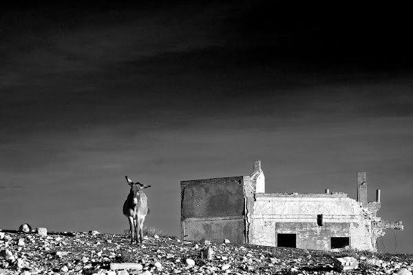 presenze a craco di faranfaluca