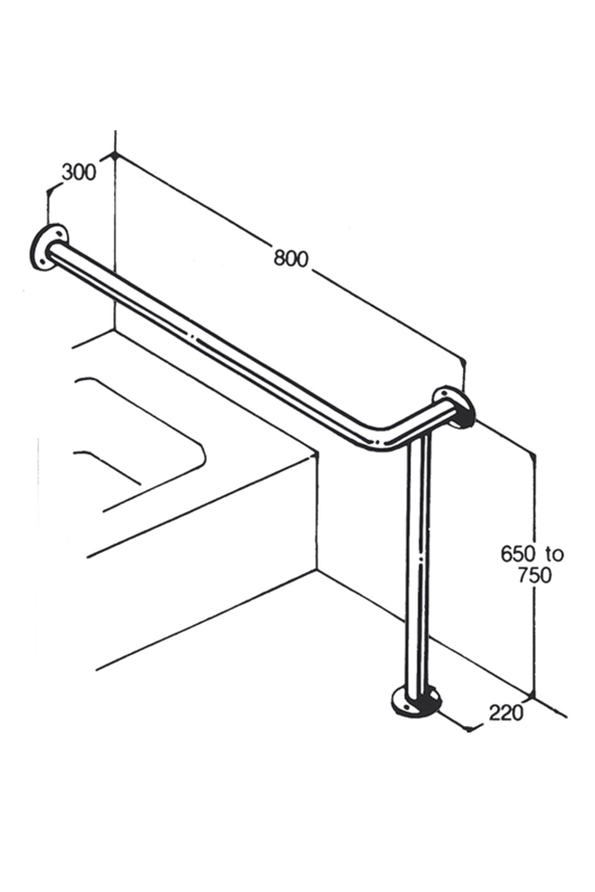 5 Essentials Mobility Access Modifications for Bathrooms