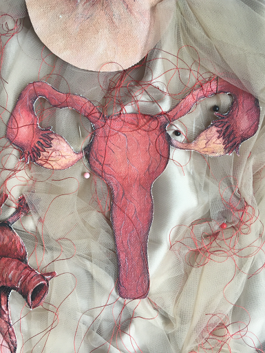 uterus