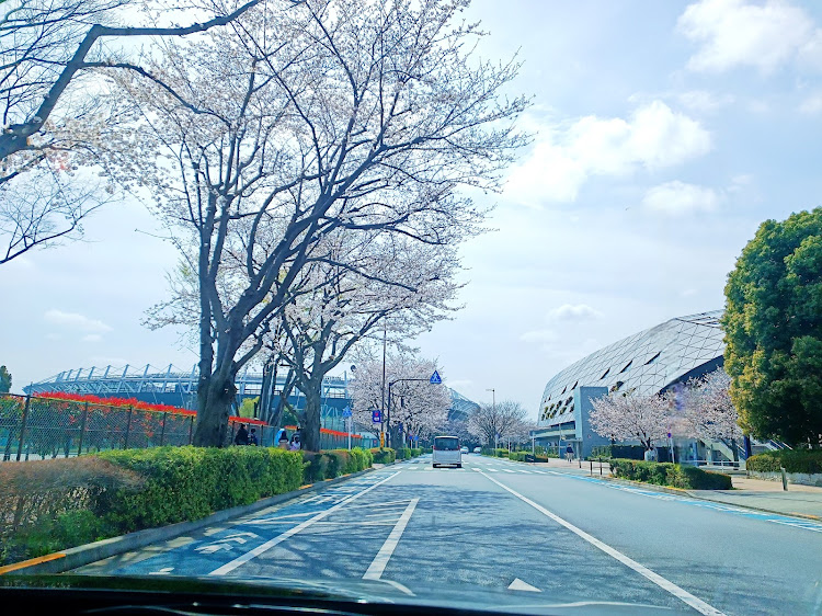 マークXの桜🌸・桜とコラボ🌸・朝一で洗車〜黄砂おとし！・フォロワー様、忙しくてCT離れ😊・忙しい事は良い事。でも身体大切にしてくださいねっ🙏ご自愛下さい💕に関するカスタム事例の投稿画像3枚目