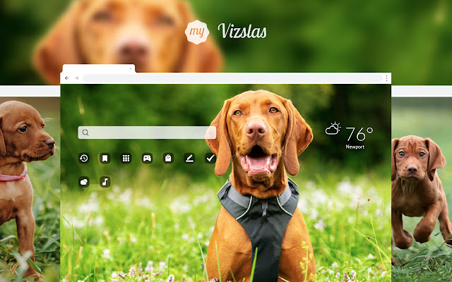 My Vizslas - Cute Puppy & Dog Wallpapers