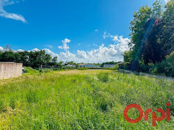 terrain à Saint-laurent-de-la-pree (17)