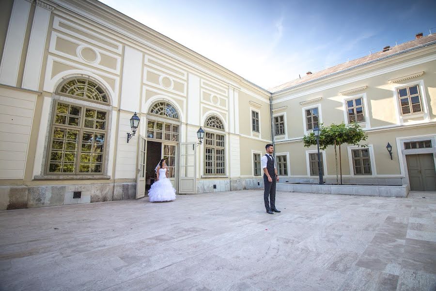 Photographe de mariage Bács Jenő (jencimages). Photo du 17 novembre 2016