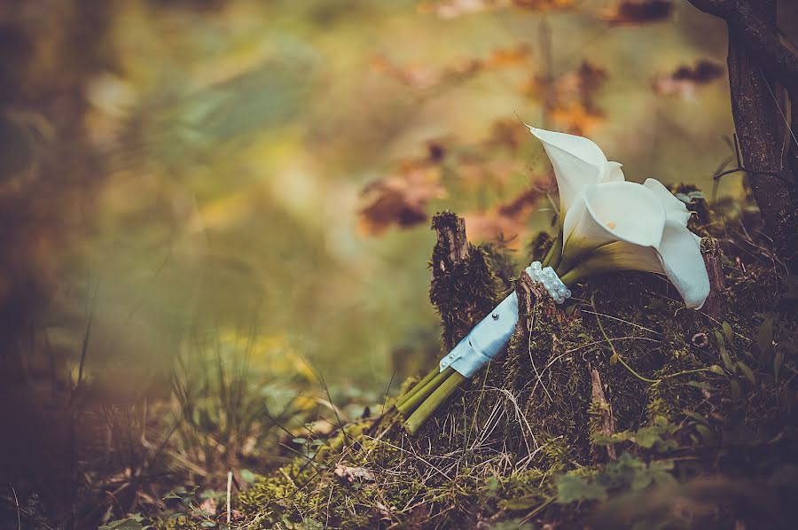 Düğün fotoğrafçısı Elena Fedulova (fedulova). 6 Ocak 2014 fotoları