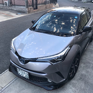 C-HR ZYX10