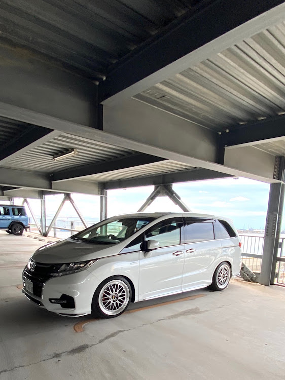 オデッセイの洗車・ワンコマルシェに関するカスタム事例の投稿画像5枚目