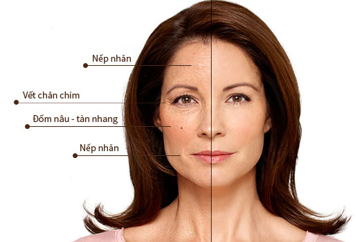 Công dụng của collagen